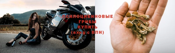 МДПВ Алексин
