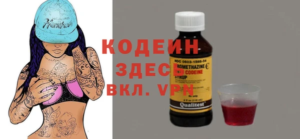прущий лед Алзамай