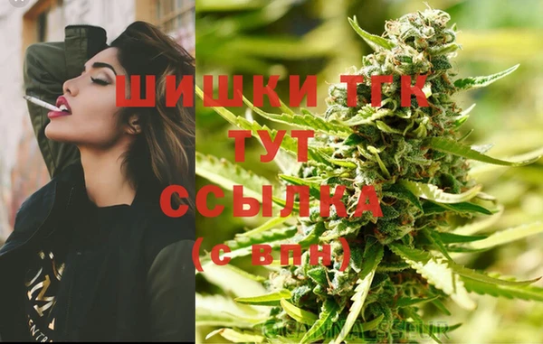 гашик Алексеевка