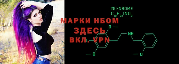 прущий лед Алзамай