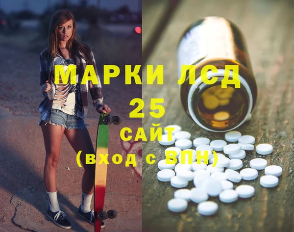 прущий лед Алзамай