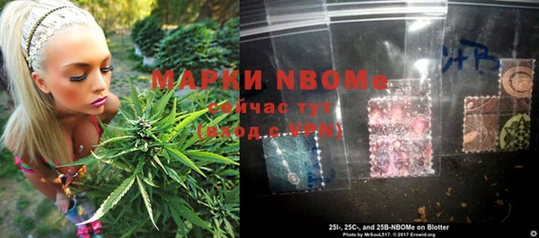 гашик Алексеевка