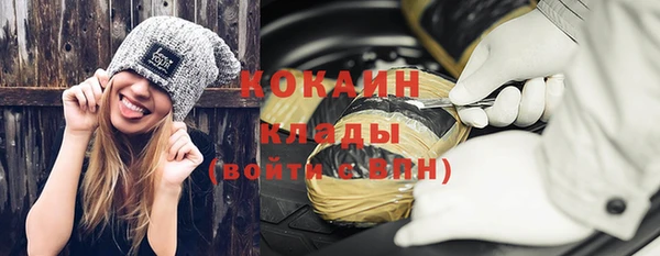 прущий лед Алзамай