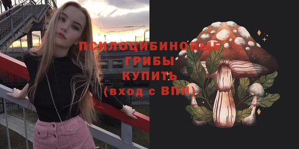 МДПВ Алексин